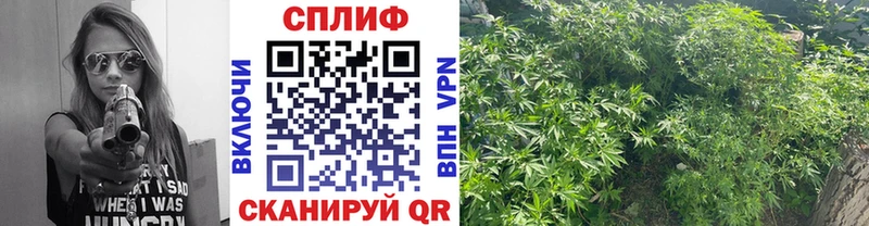 Где продают наркотики Барабинск COCAIN  А ПВП  Амфетамин  ГАШ 