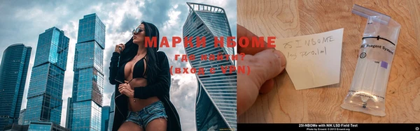 прущие грибы Баксан