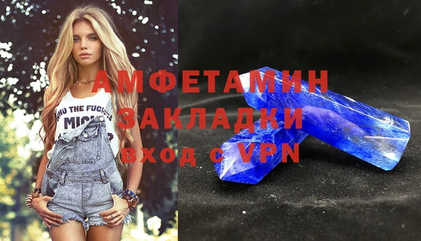 прущие грибы Баксан