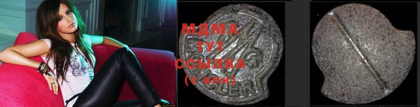 прущие грибы Баксан