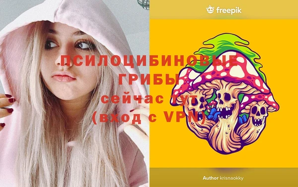 прущие грибы Баксан