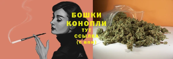 прущие грибы Баксан