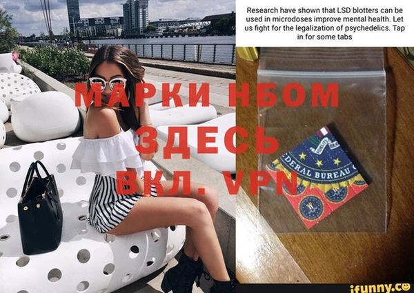 прущие грибы Баксан