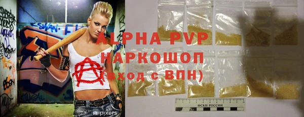 прущие грибы Баксан