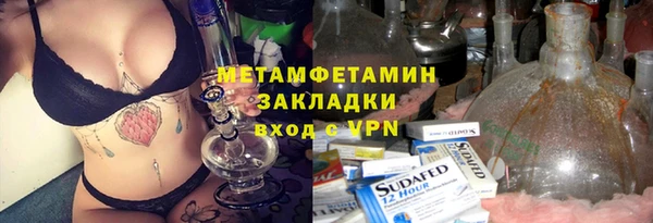 прущие грибы Баксан