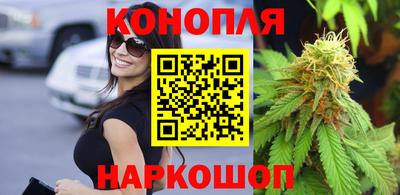 сатива Заводоуковск