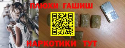 сатива Заводоуковск