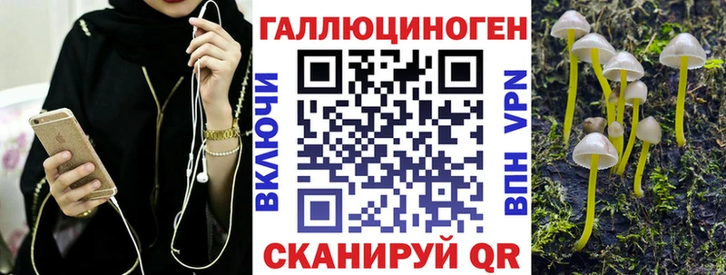 дарнет шоп  Барабинск  Псилоцибиновые грибы мухоморы 