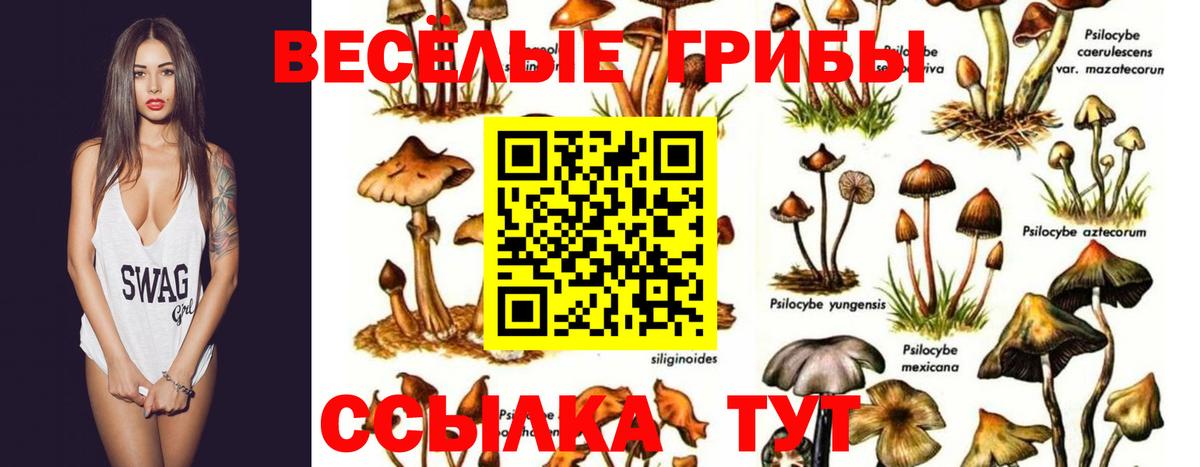 Псилоцибиновые грибы Magic Shrooms Барабинск